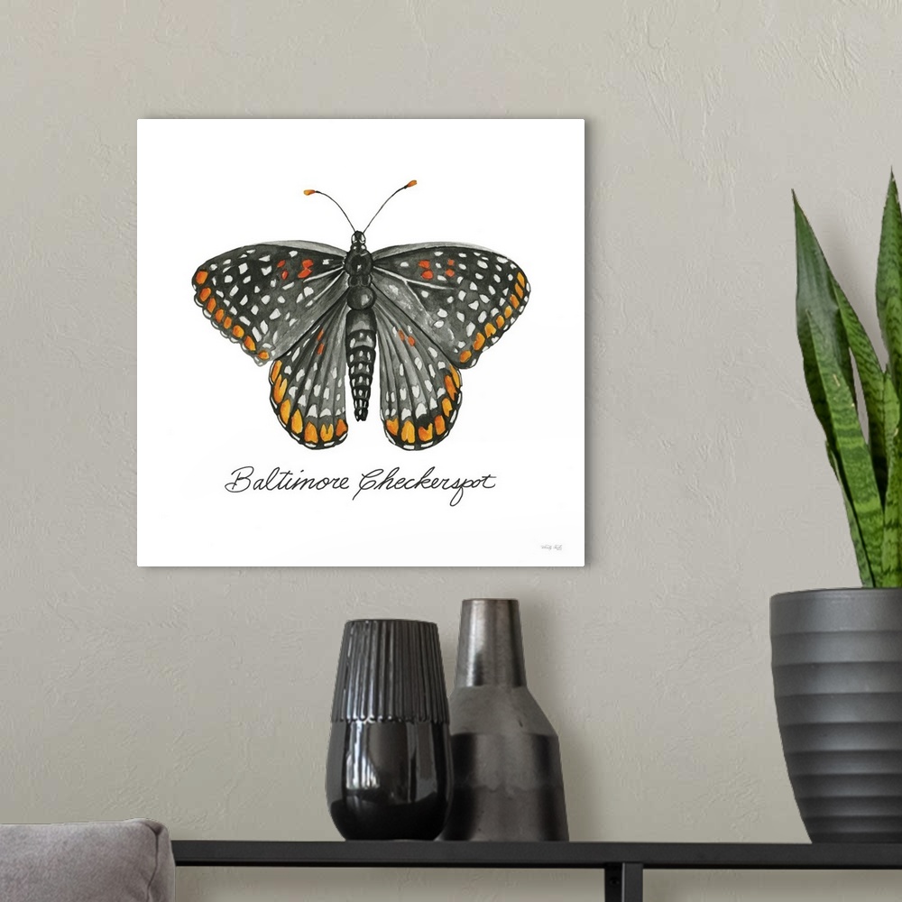 A modern room featuring Baltimore Checkerspot