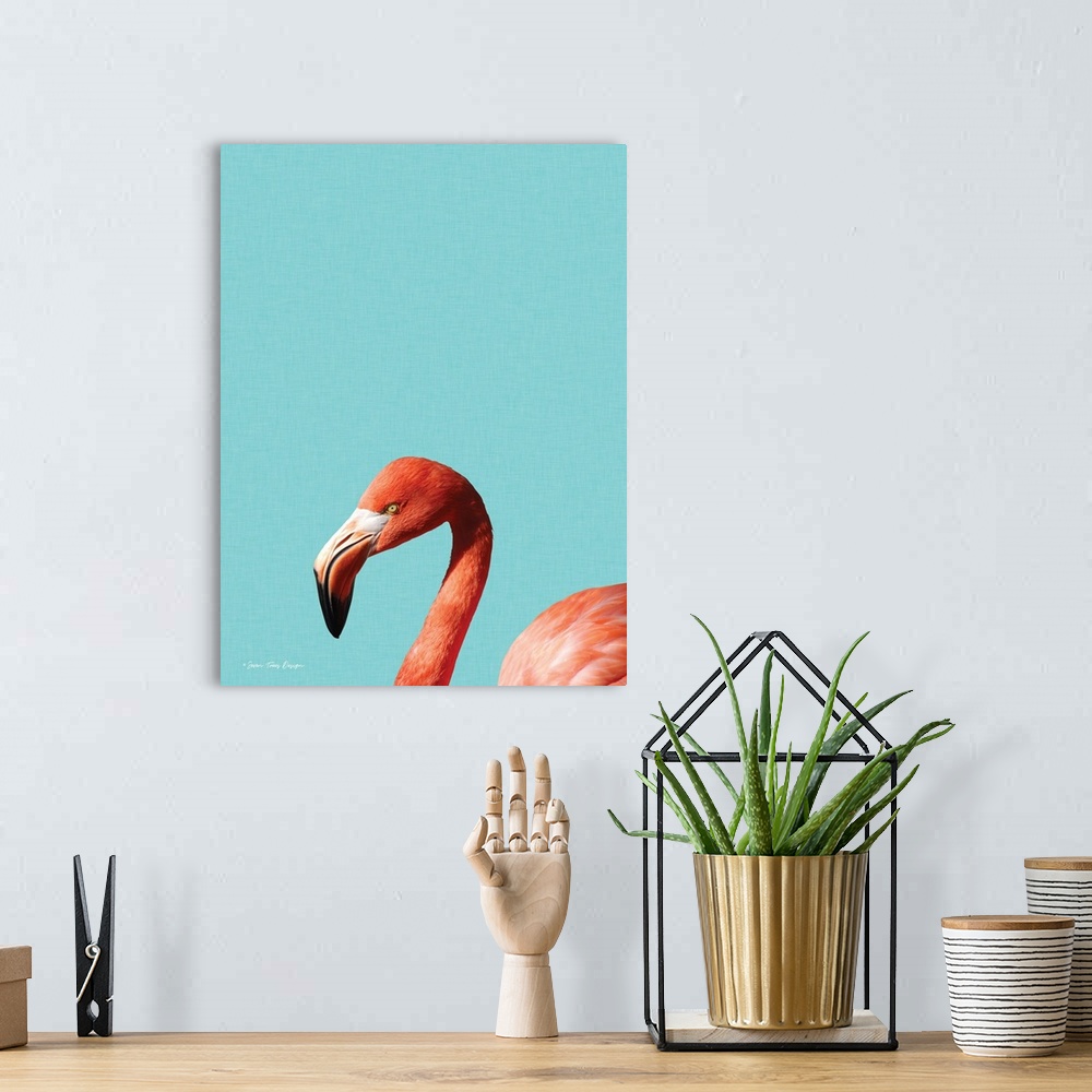 A bohemian room featuring Blue Flamingo