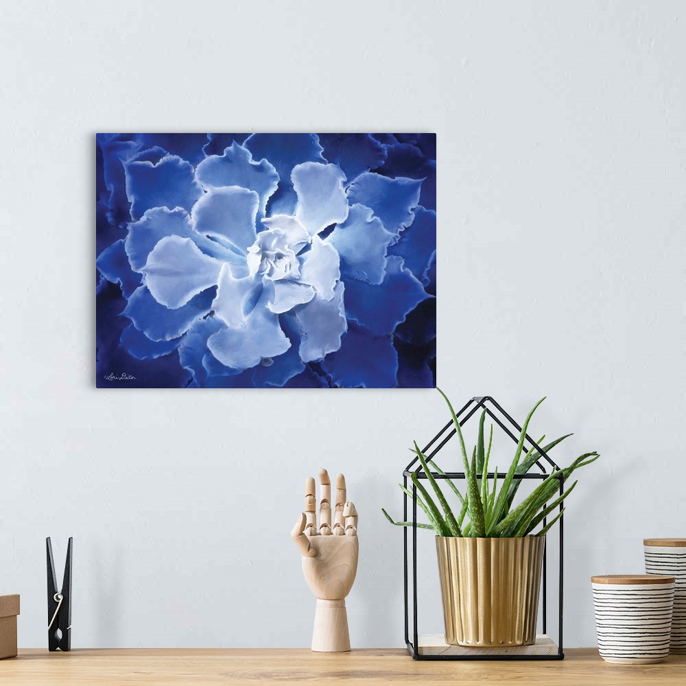 A bohemian room featuring Blue Succulent I