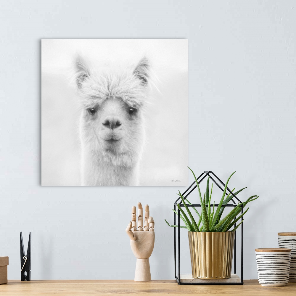 A bohemian room featuring Chip The Alpaca