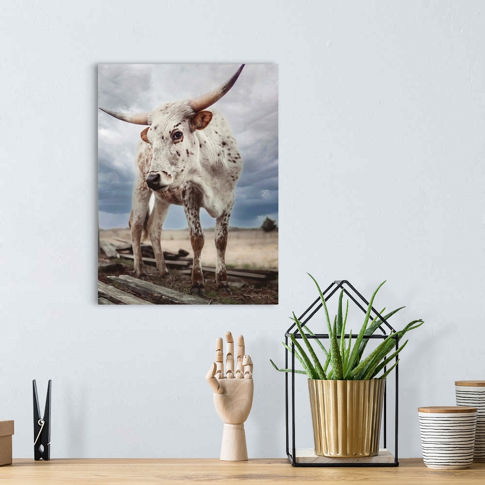 A bohemian room featuring Cloudy Day Cow