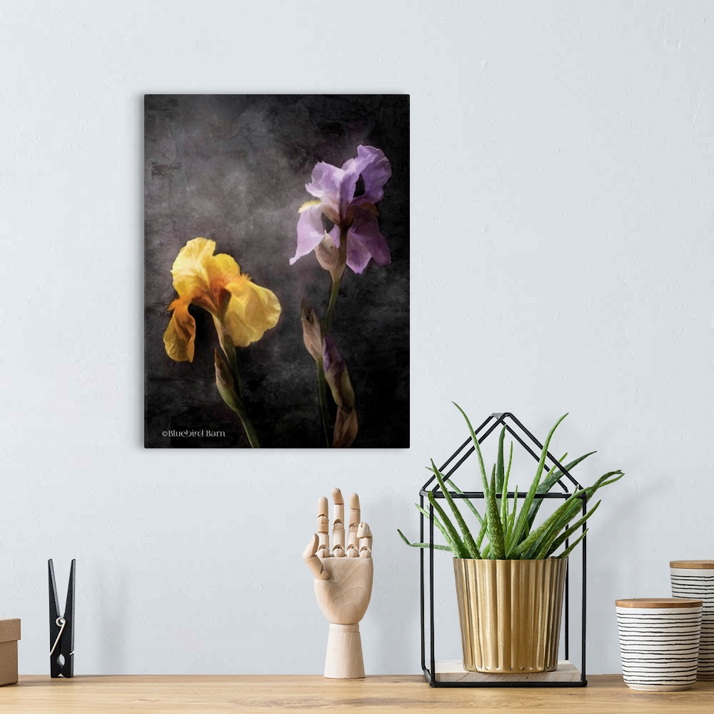 A bohemian room featuring Contemporize Floral Iris