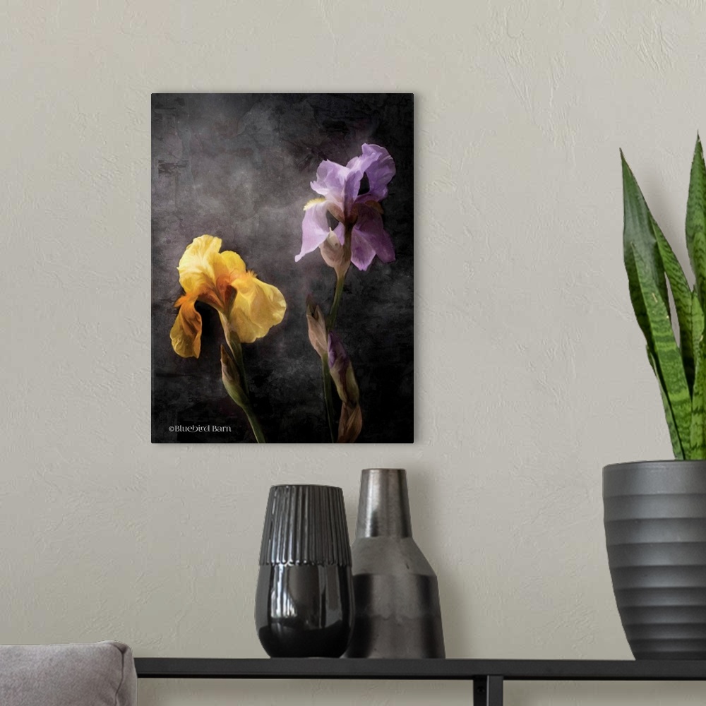 A modern room featuring Contemporize Floral Iris