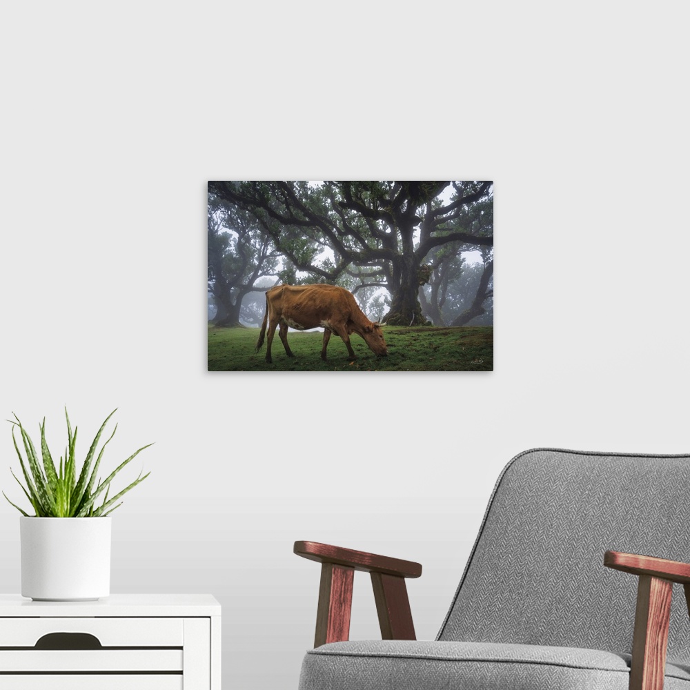 A modern room featuring Cow In The Fog
