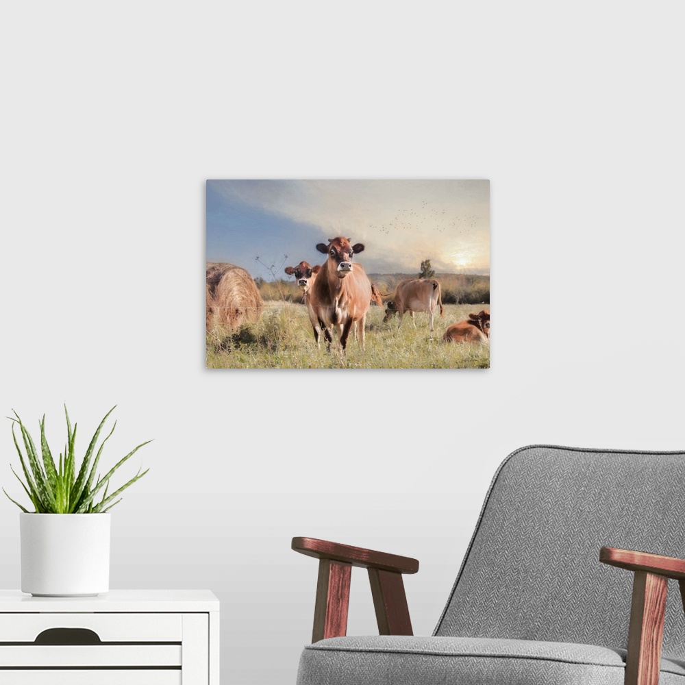 A modern room featuring Cow Photobomb