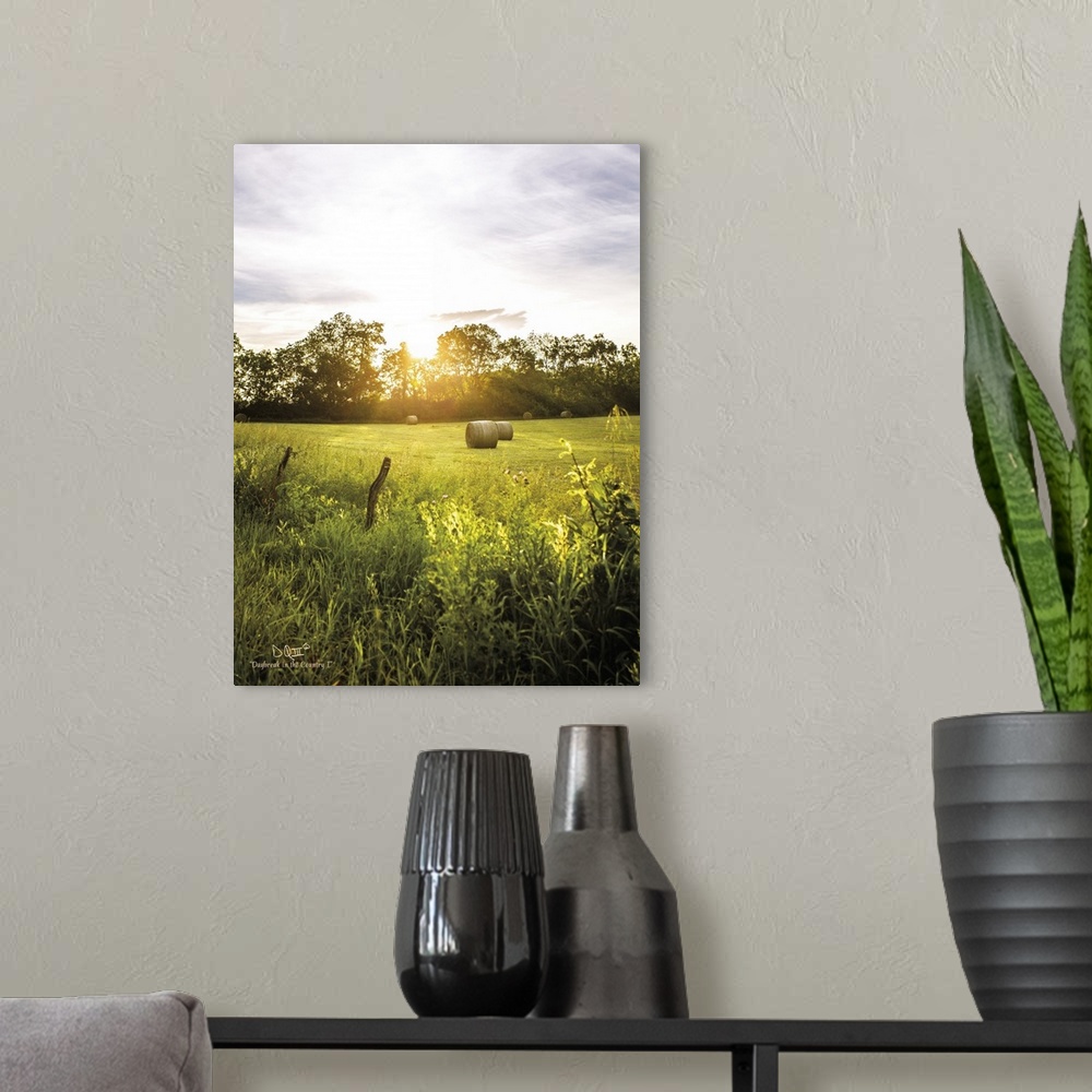 A modern room featuring Photograph of a countryside landscape.