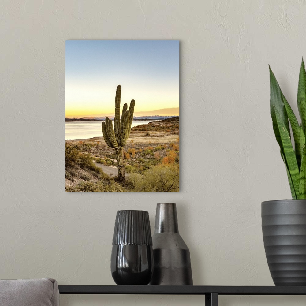 A modern room featuring Desert Cactus Sunset
