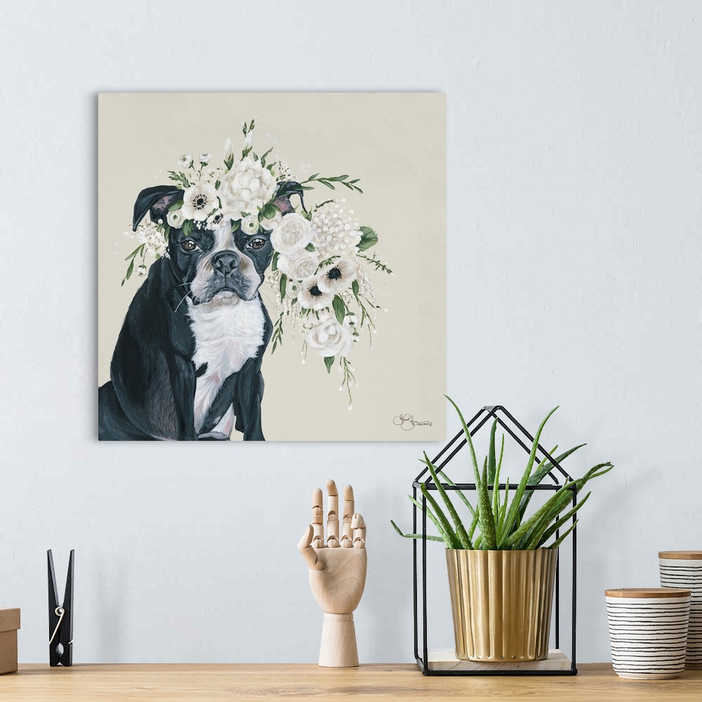 A bohemian room featuring Dog and Flower