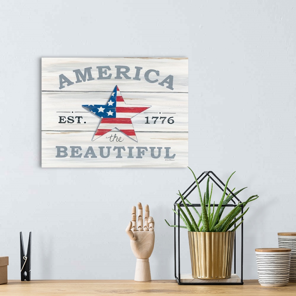 A bohemian room featuring DS1667 - America the Beautiful Star