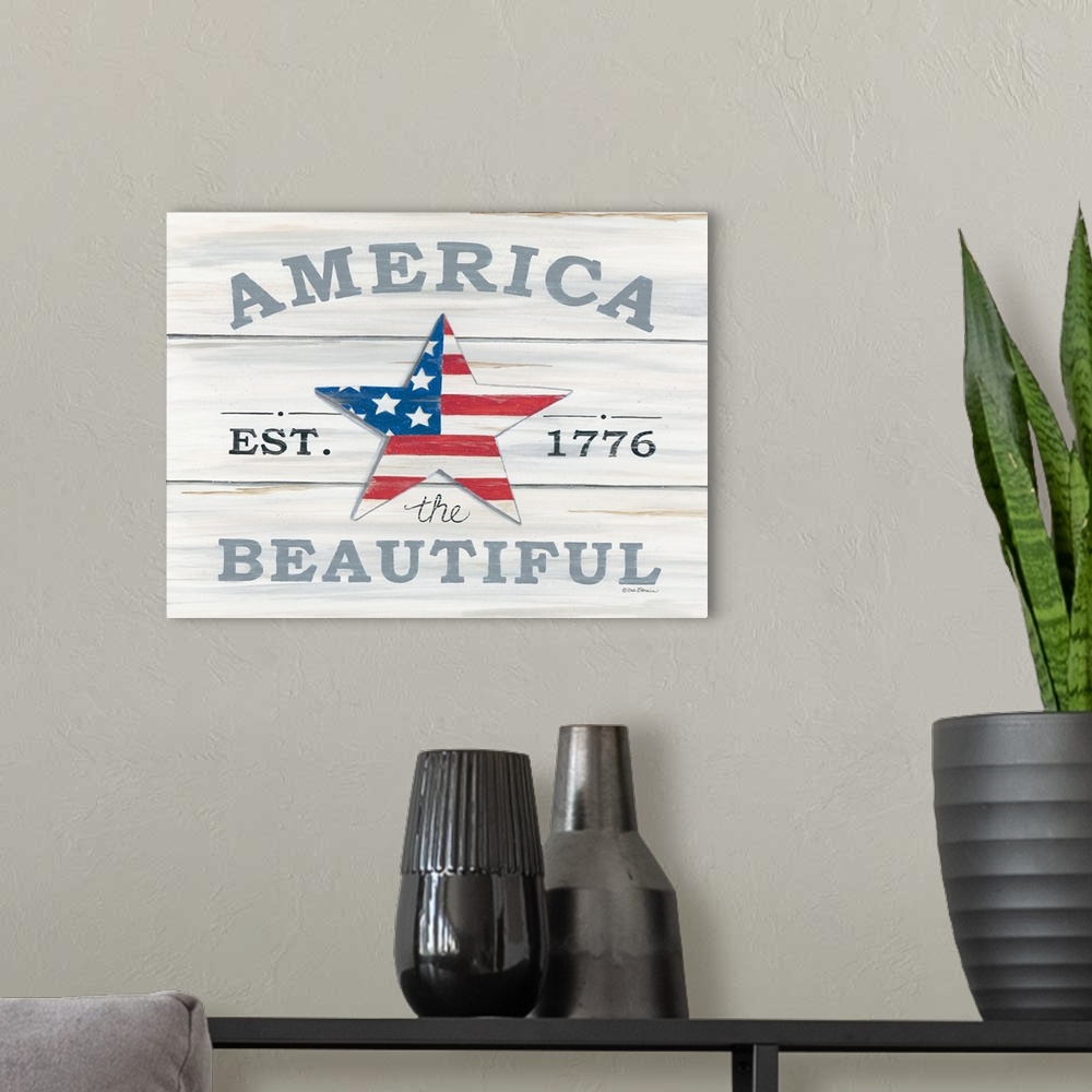 A modern room featuring DS1667 - America the Beautiful Star