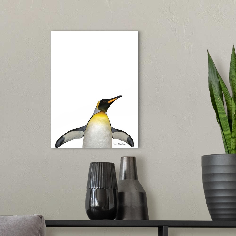 A modern room featuring Emperor Penguin