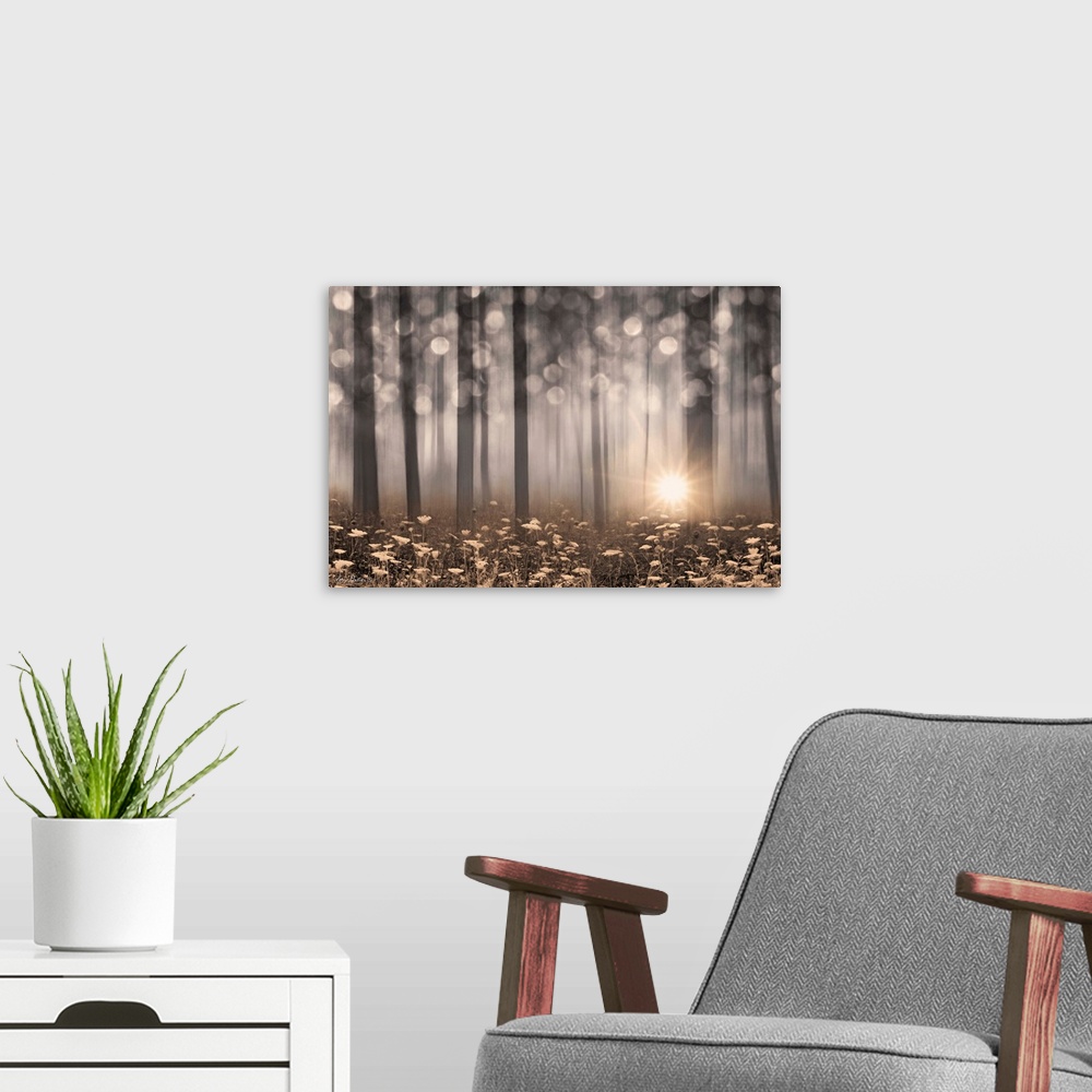 A modern room featuring Enchanted Morning