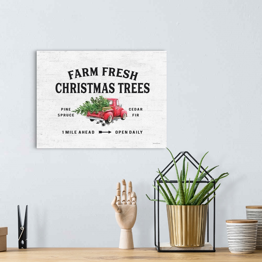 A bohemian room featuring Farm Fresh Christmas Trees II