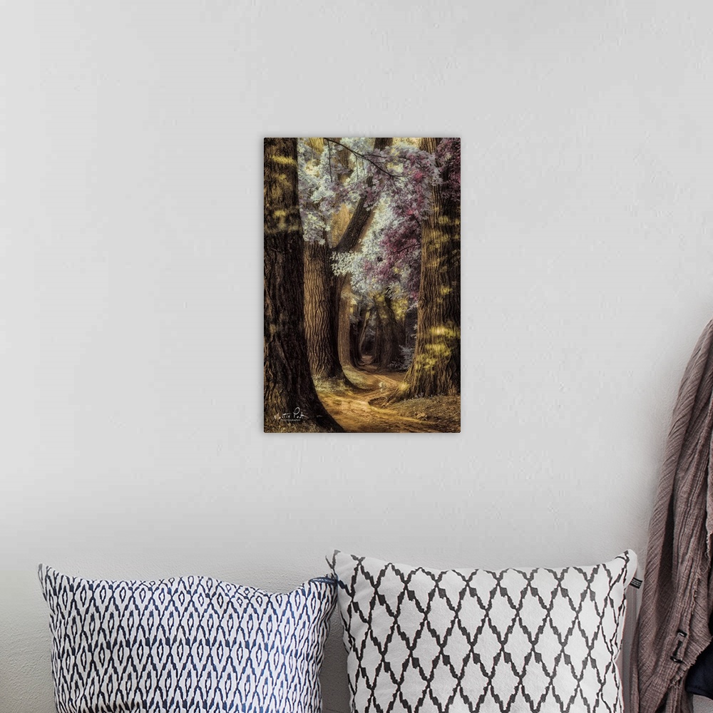 A bohemian room featuring Photograph of a peaceful forest landscape.
