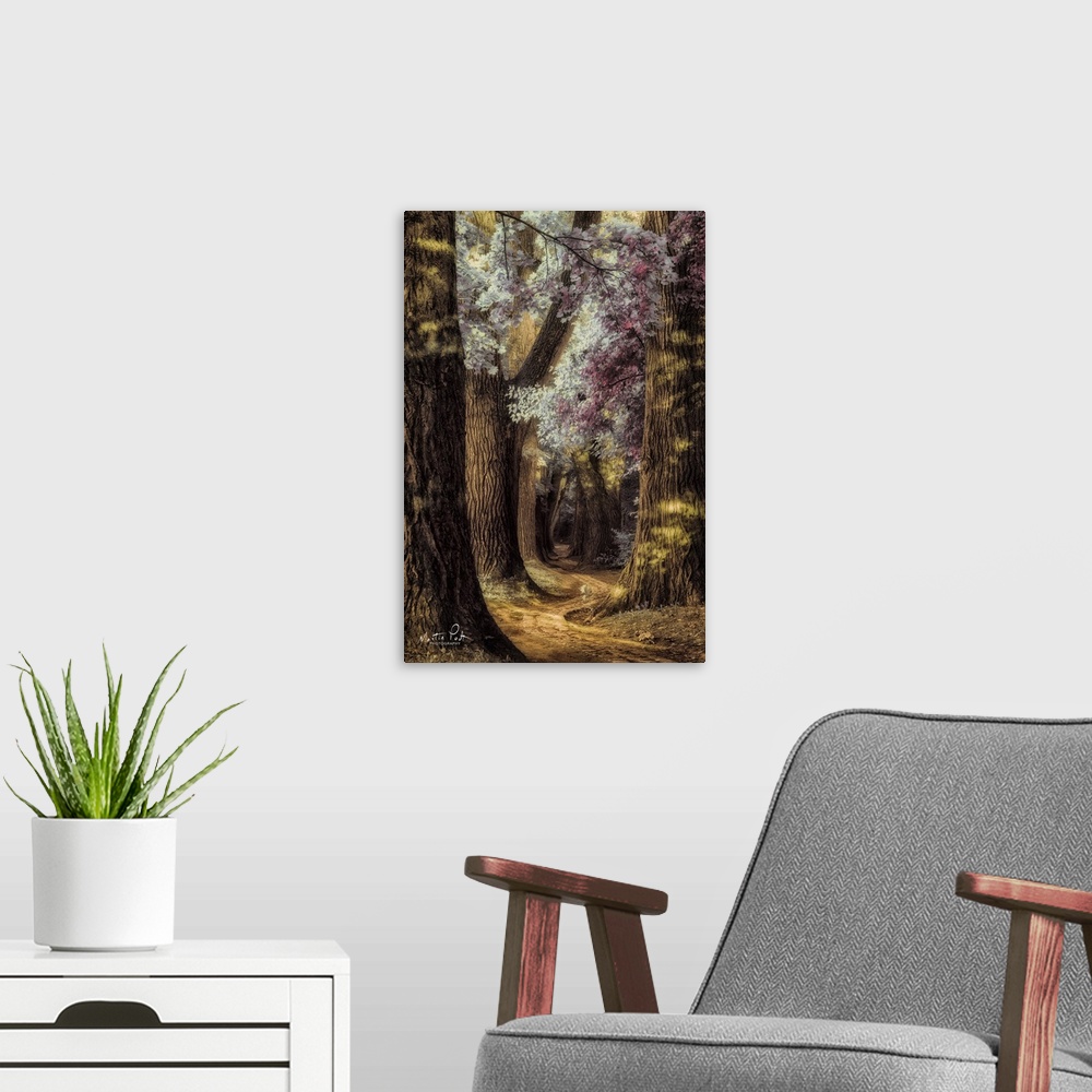 A modern room featuring Photograph of a peaceful forest landscape.