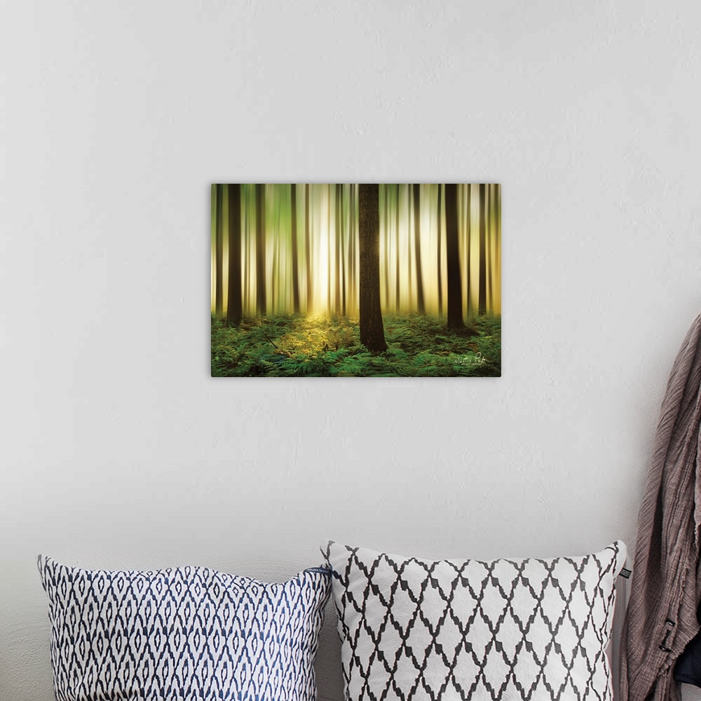 A bohemian room featuring Forest in Motion