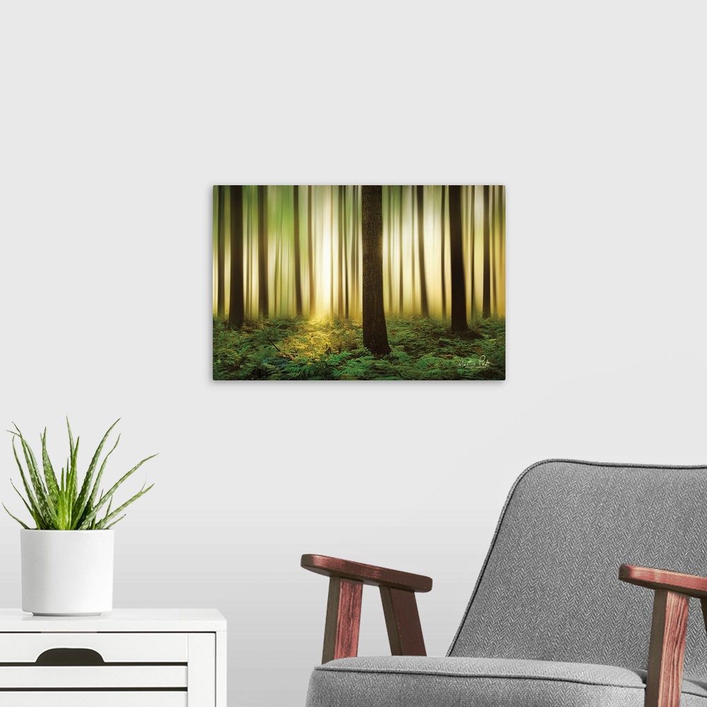 A modern room featuring Forest in Motion