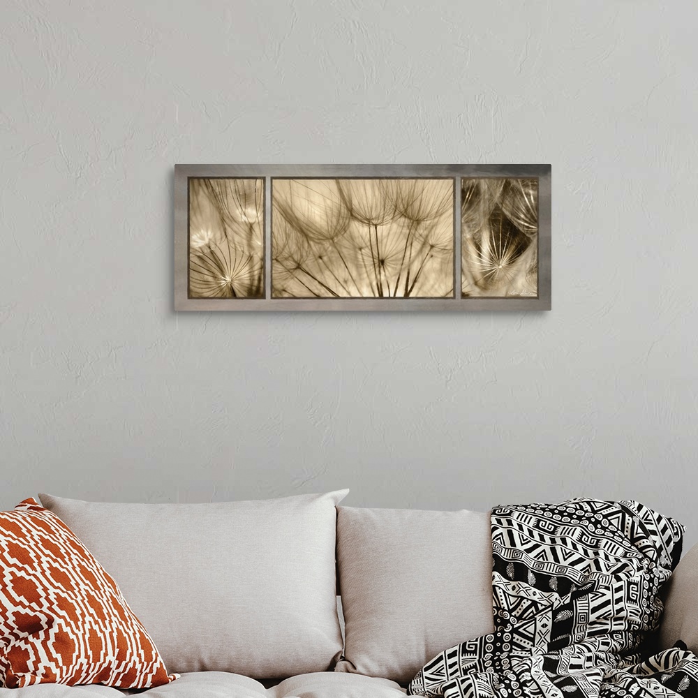 A bohemian room featuring This contemporary piece features three  close-up photos of a goatsbeard flower.