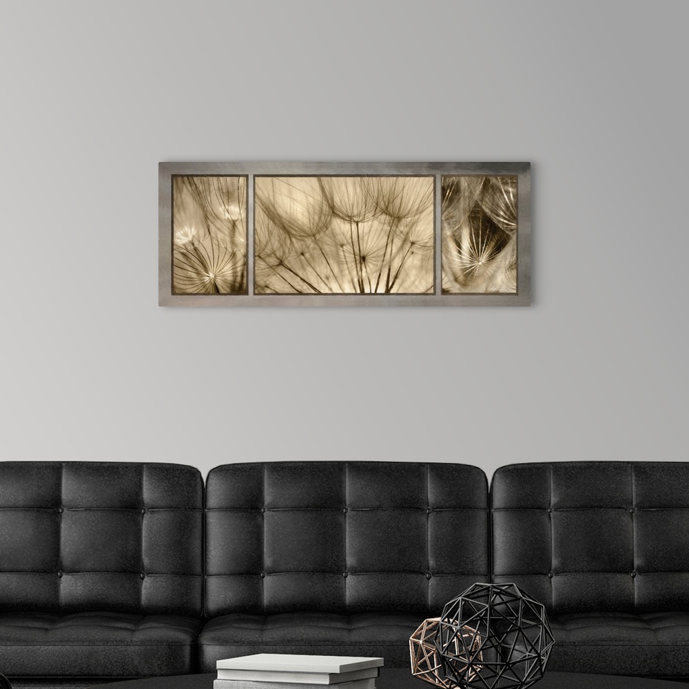 A modern room featuring This contemporary piece features three  close-up photos of a goatsbeard flower.