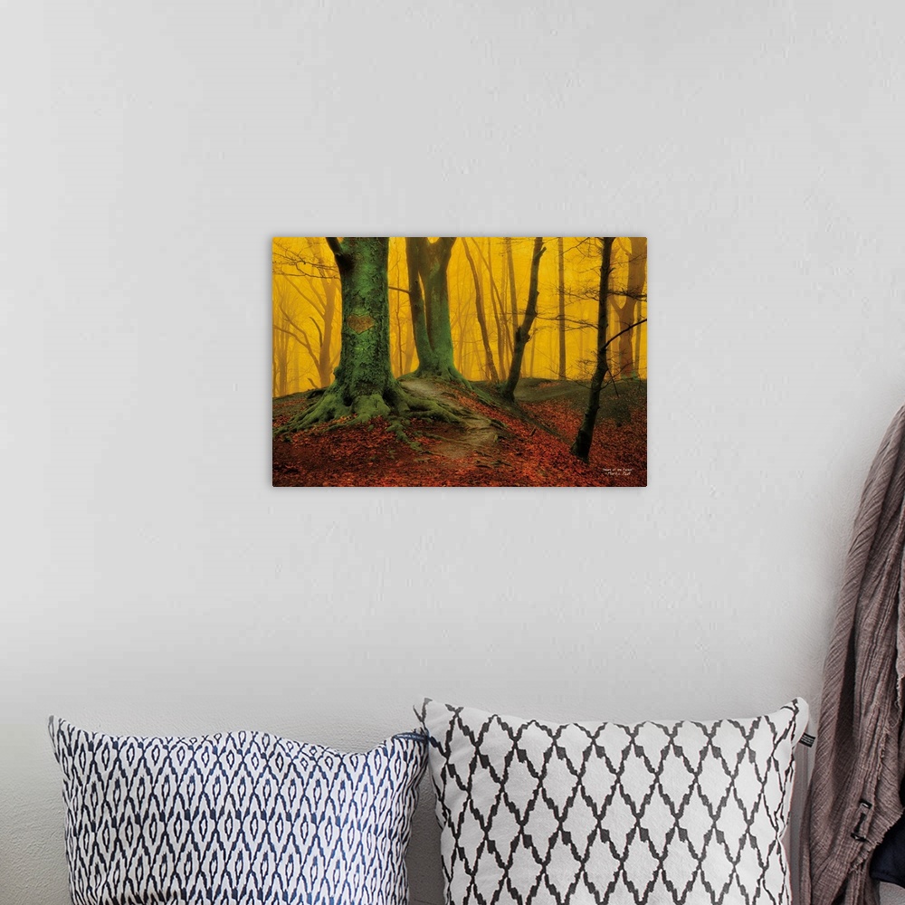 A bohemian room featuring Bright yellow light in a forest, contrasting with dark trees and red leaves on the floor.