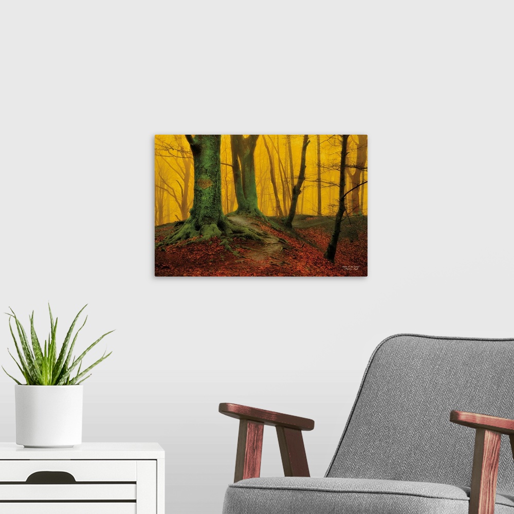 A modern room featuring Bright yellow light in a forest, contrasting with dark trees and red leaves on the floor.