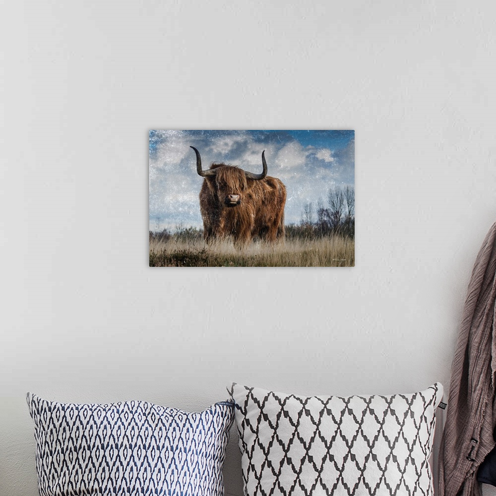 A bohemian room featuring Highland Bull Vintage 1