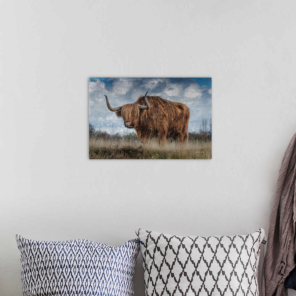 A bohemian room featuring Highland Bull Vintage 2