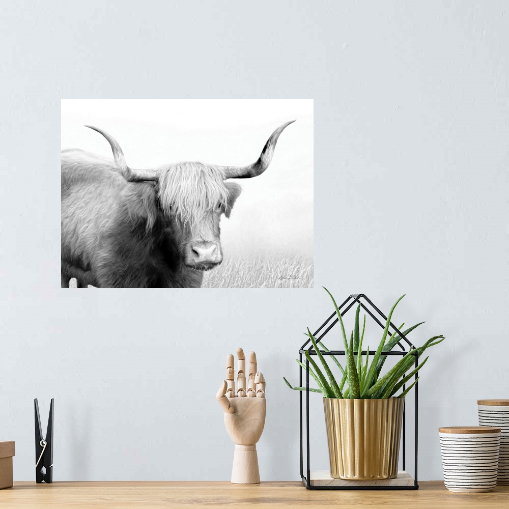 A bohemian room featuring Highland Cow
