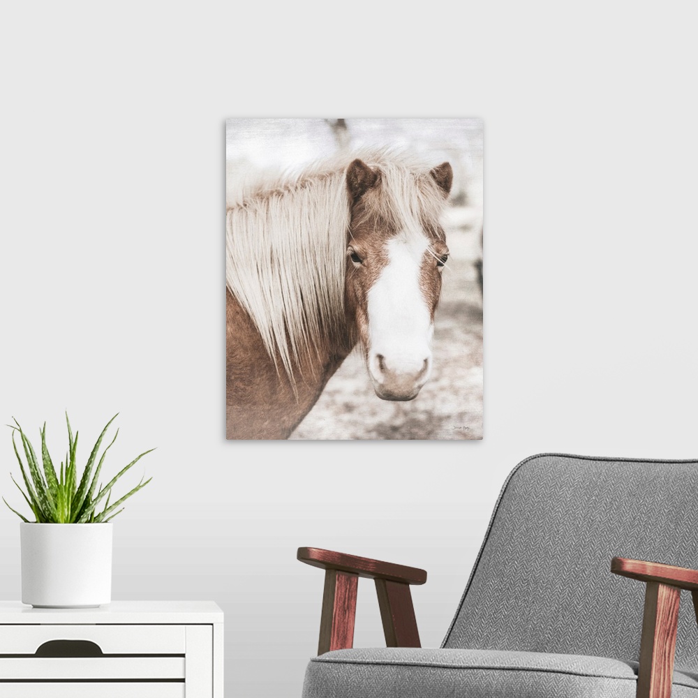 A modern room featuring Honey The Pony