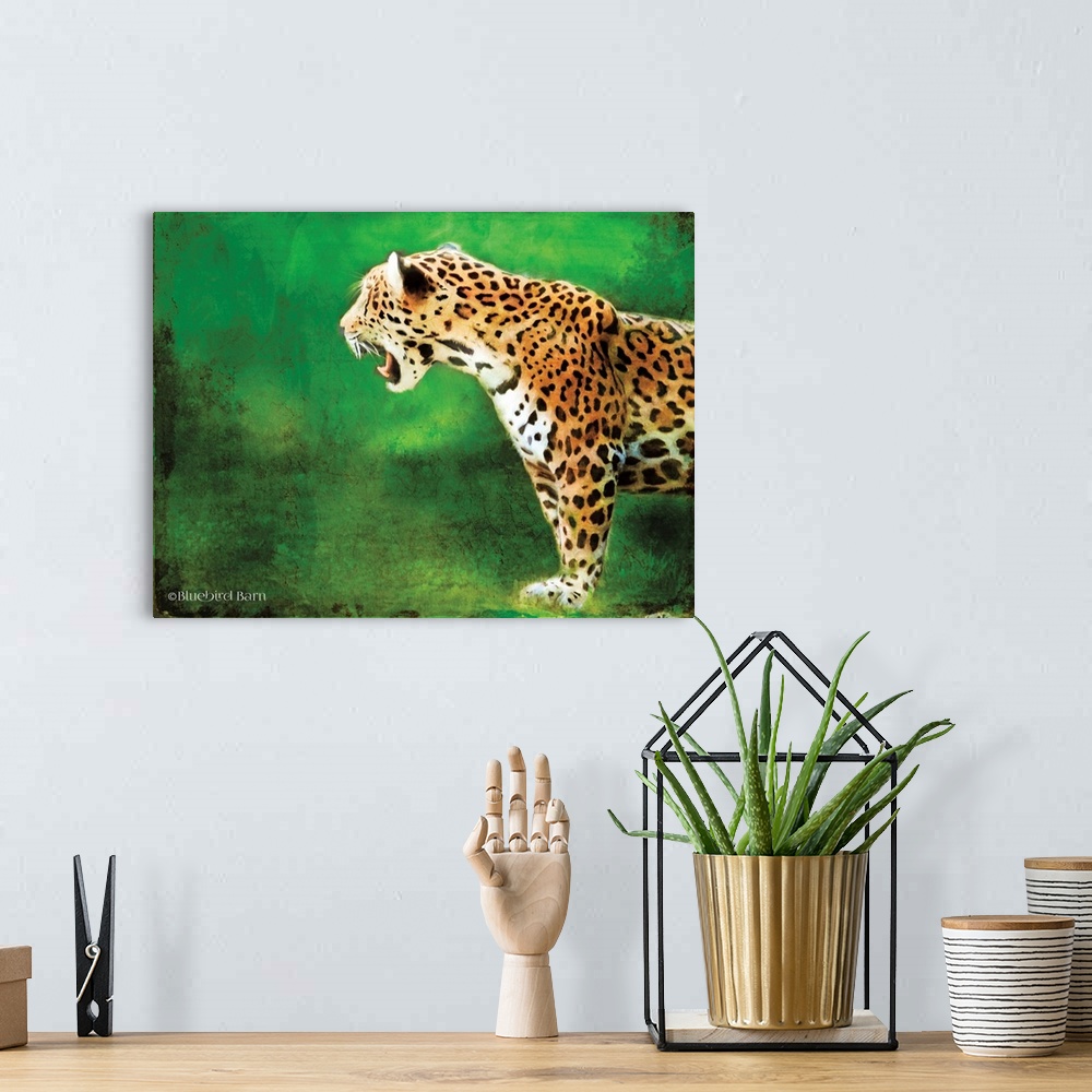 A bohemian room featuring Jaguar Standing in the Green