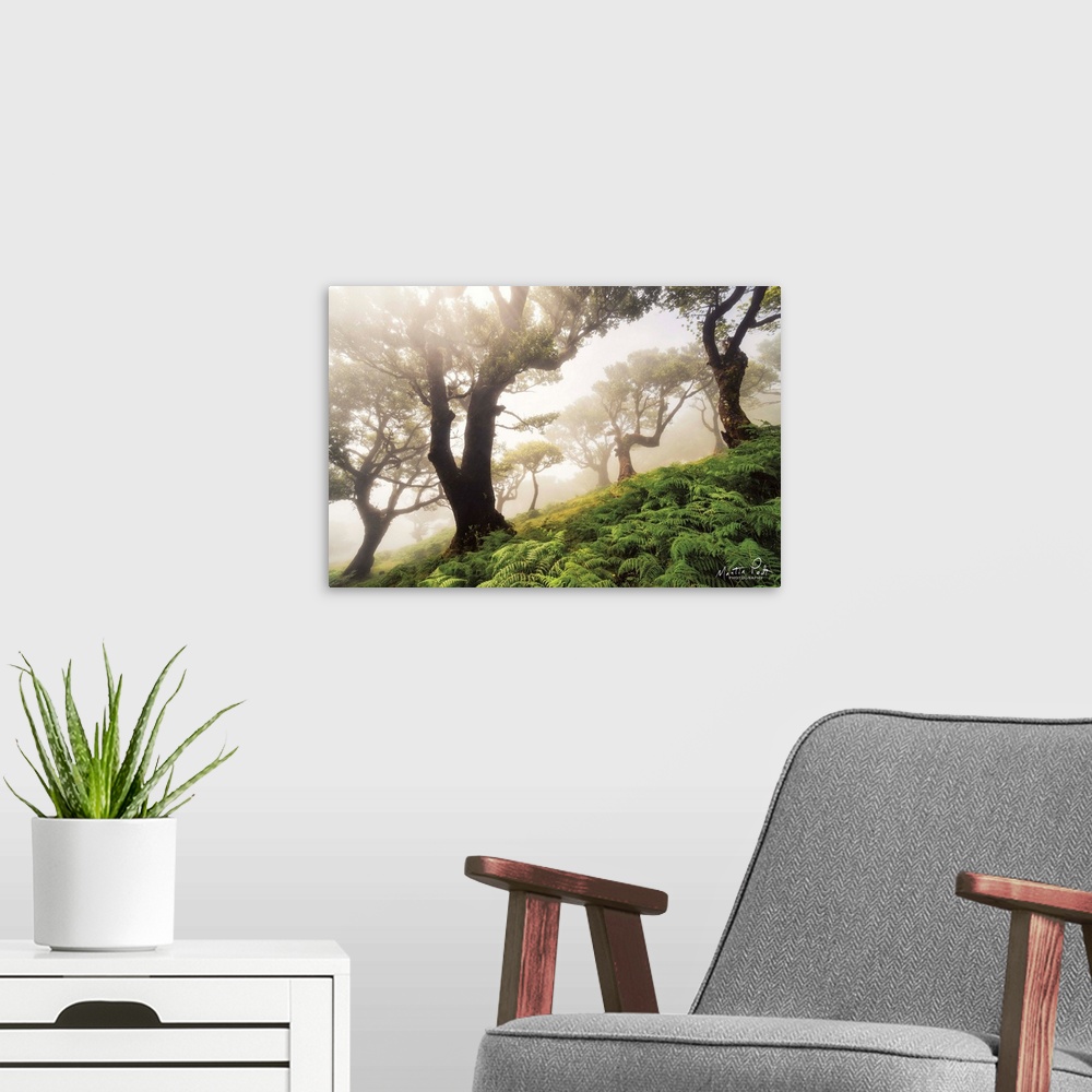 A modern room featuring Just Some Trees on a Hill