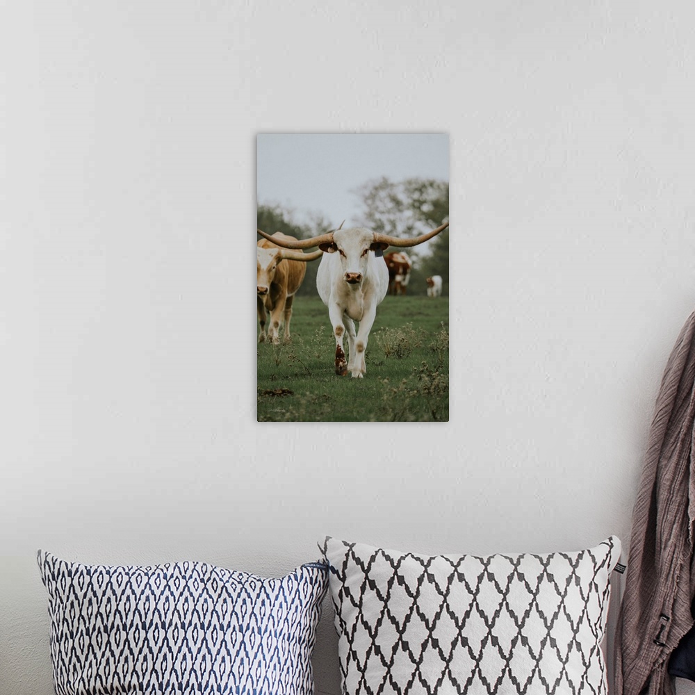 A bohemian room featuring Longhorn In Amarillo I
