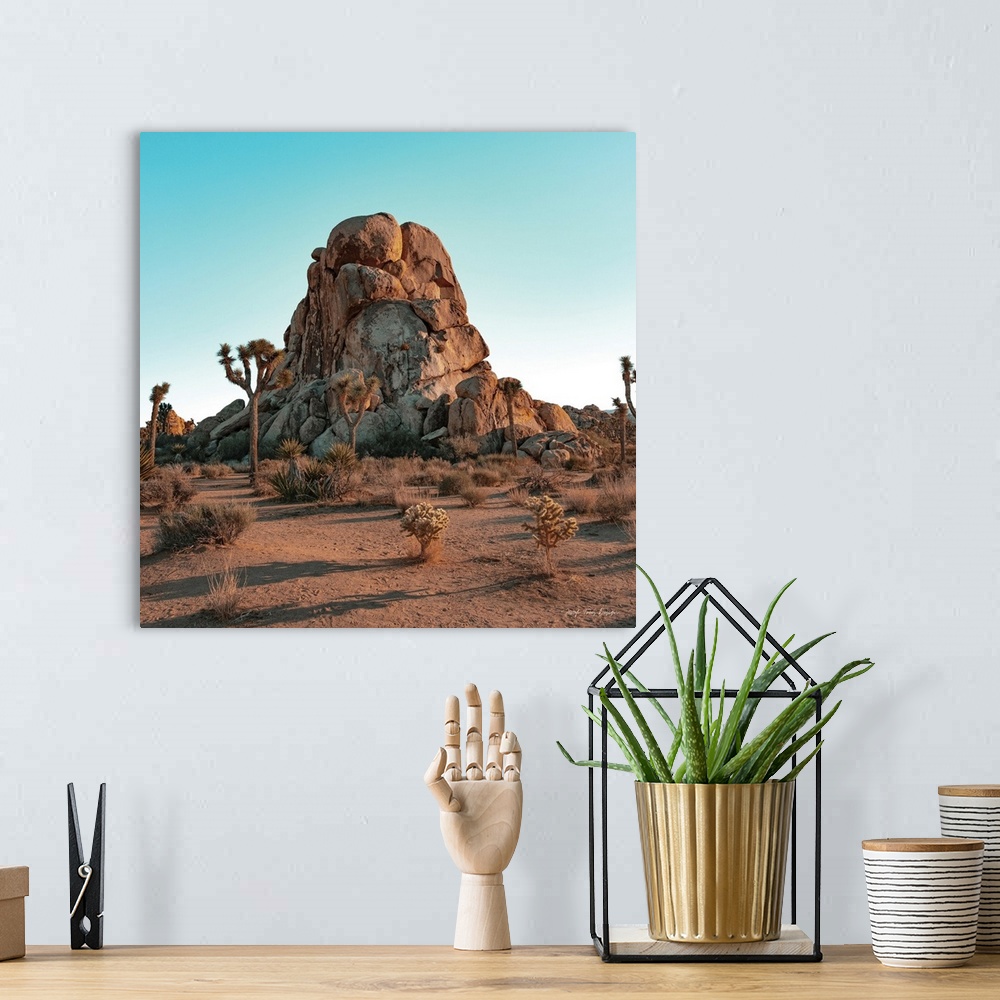 A bohemian room featuring Mountain In The Desert