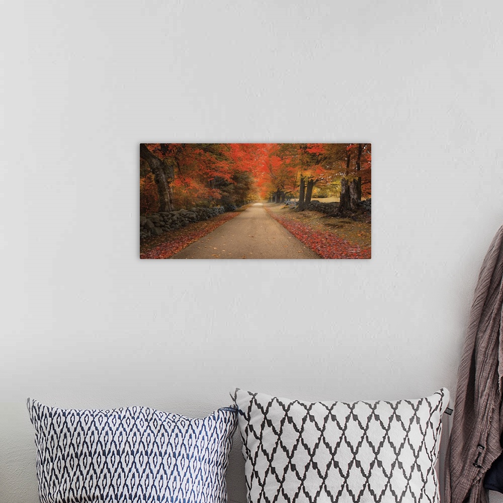 A bohemian room featuring Pathway through a forest with bright orange leaves in autumn in soft light.