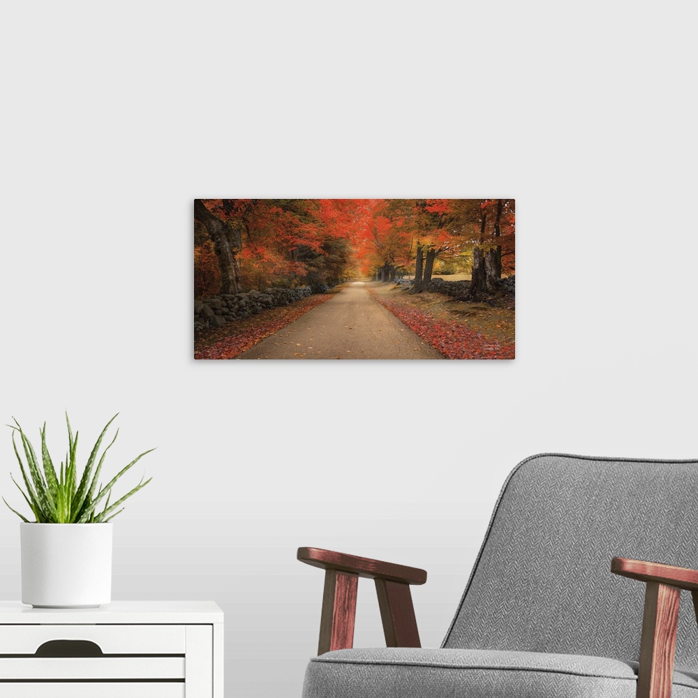 A modern room featuring Pathway through a forest with bright orange leaves in autumn in soft light.