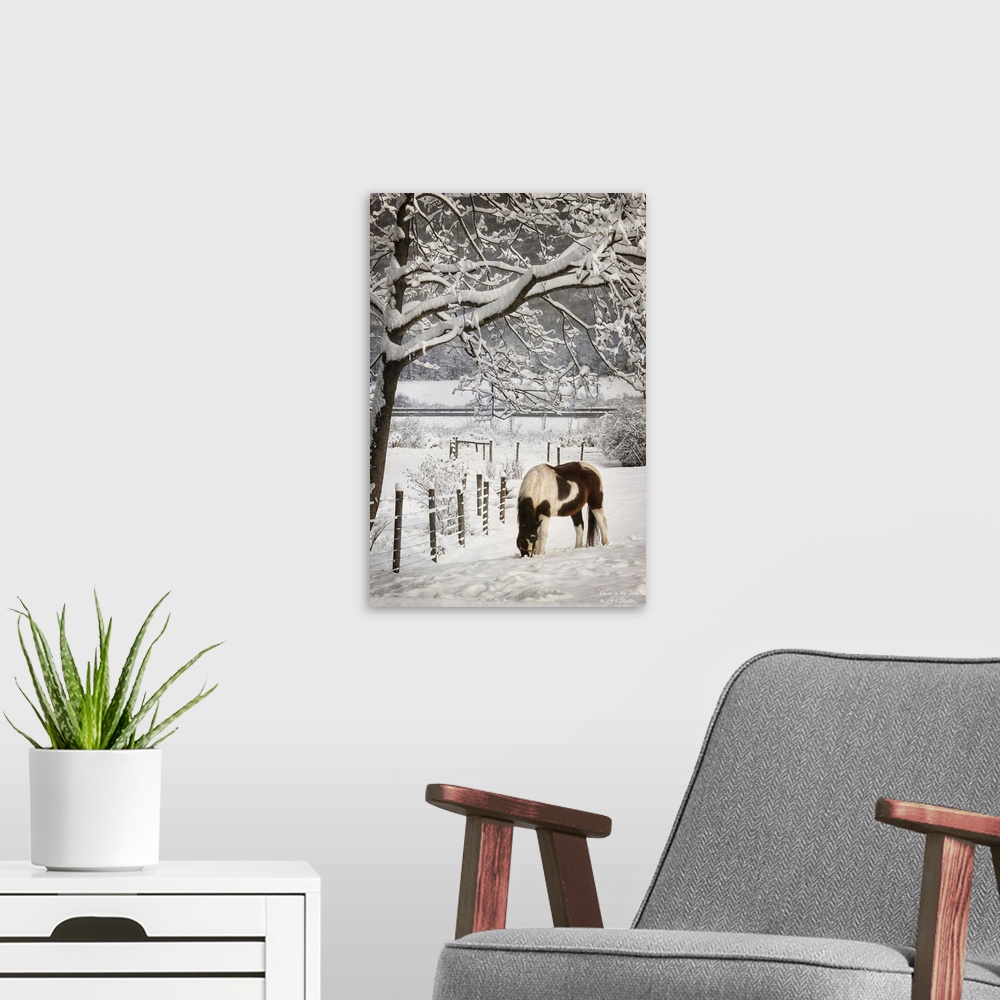 A modern room featuring Horse grazing beside a fence in a snow covered field.