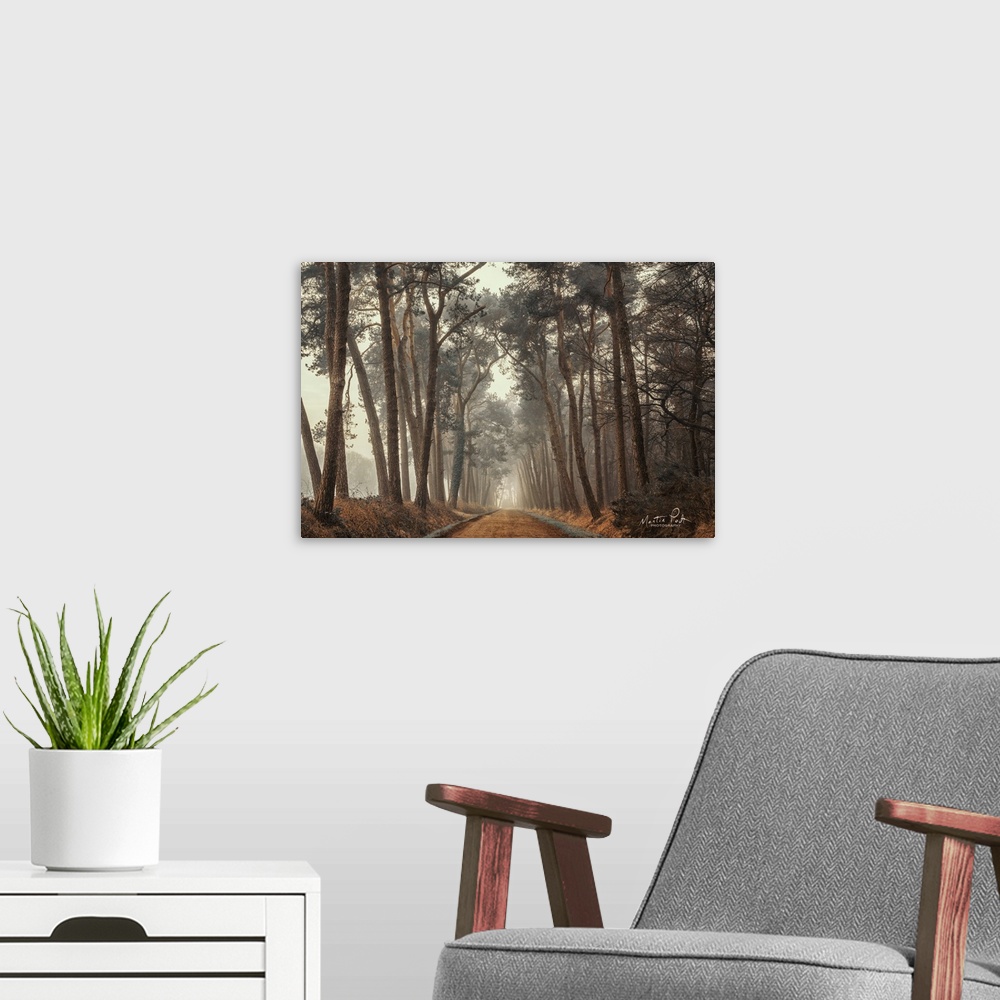 A modern room featuring Path of Pines