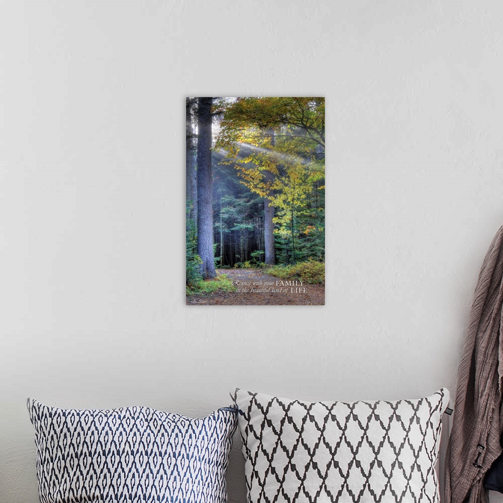 A bohemian room featuring White text against a photograph of a forest path leading deeper into the woods.