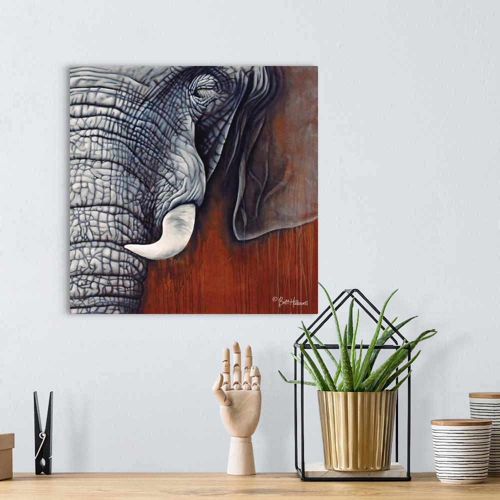 A bohemian room featuring Contemporary  close up of an elephants face, showing the rough textured surface.