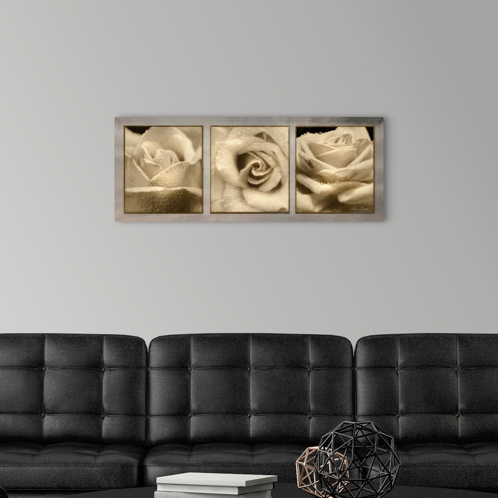 A modern room featuring This contemporary piece features three  close-up photos of a rose.