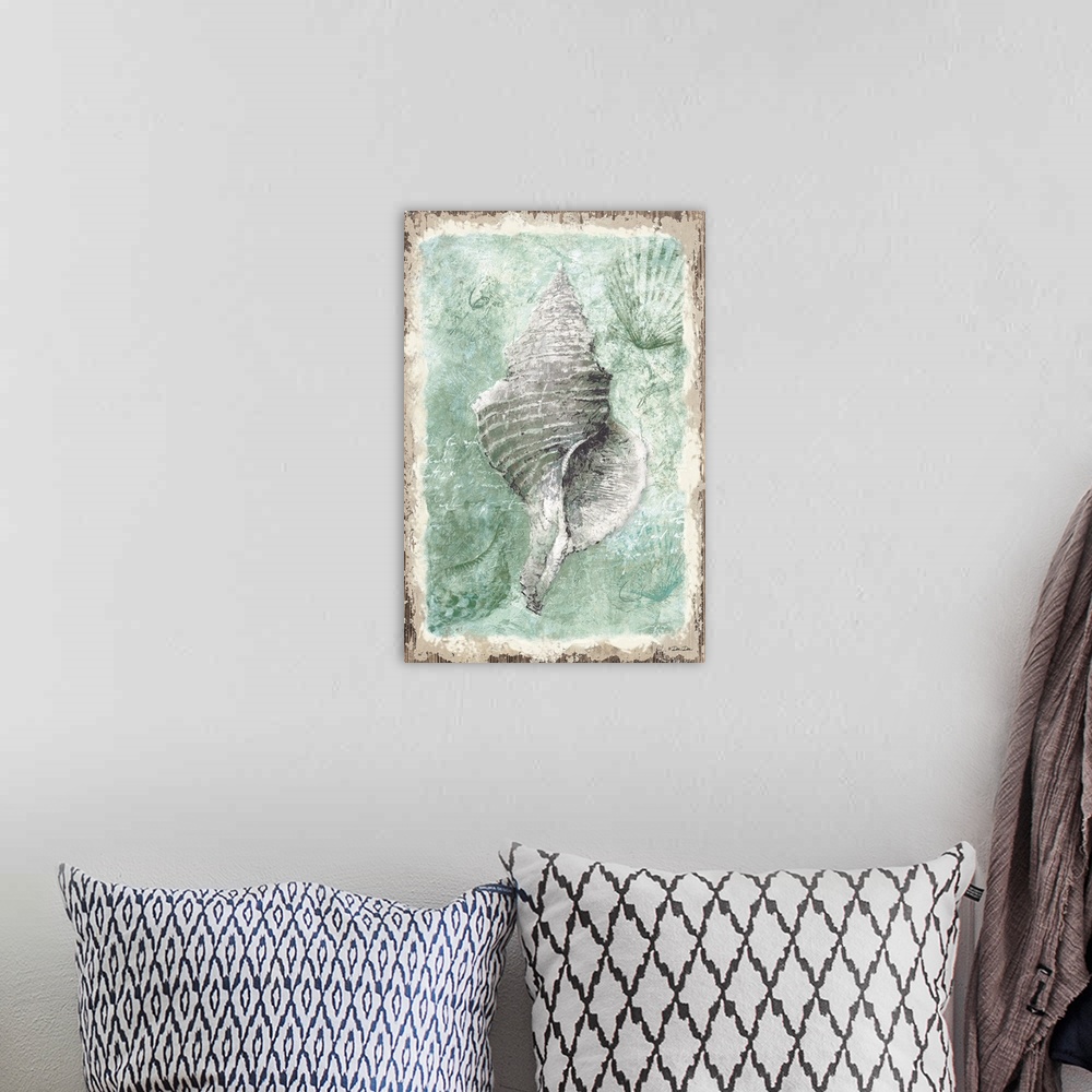 A bohemian room featuring Distressed seashell against a sea foam green background.