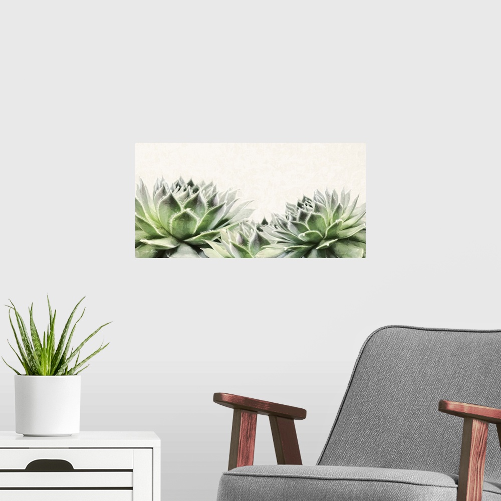 A modern room featuring Soft Succulents I