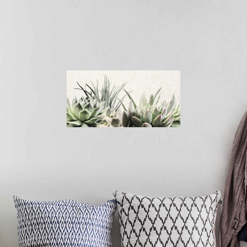 A bohemian room featuring Soft Succulents II