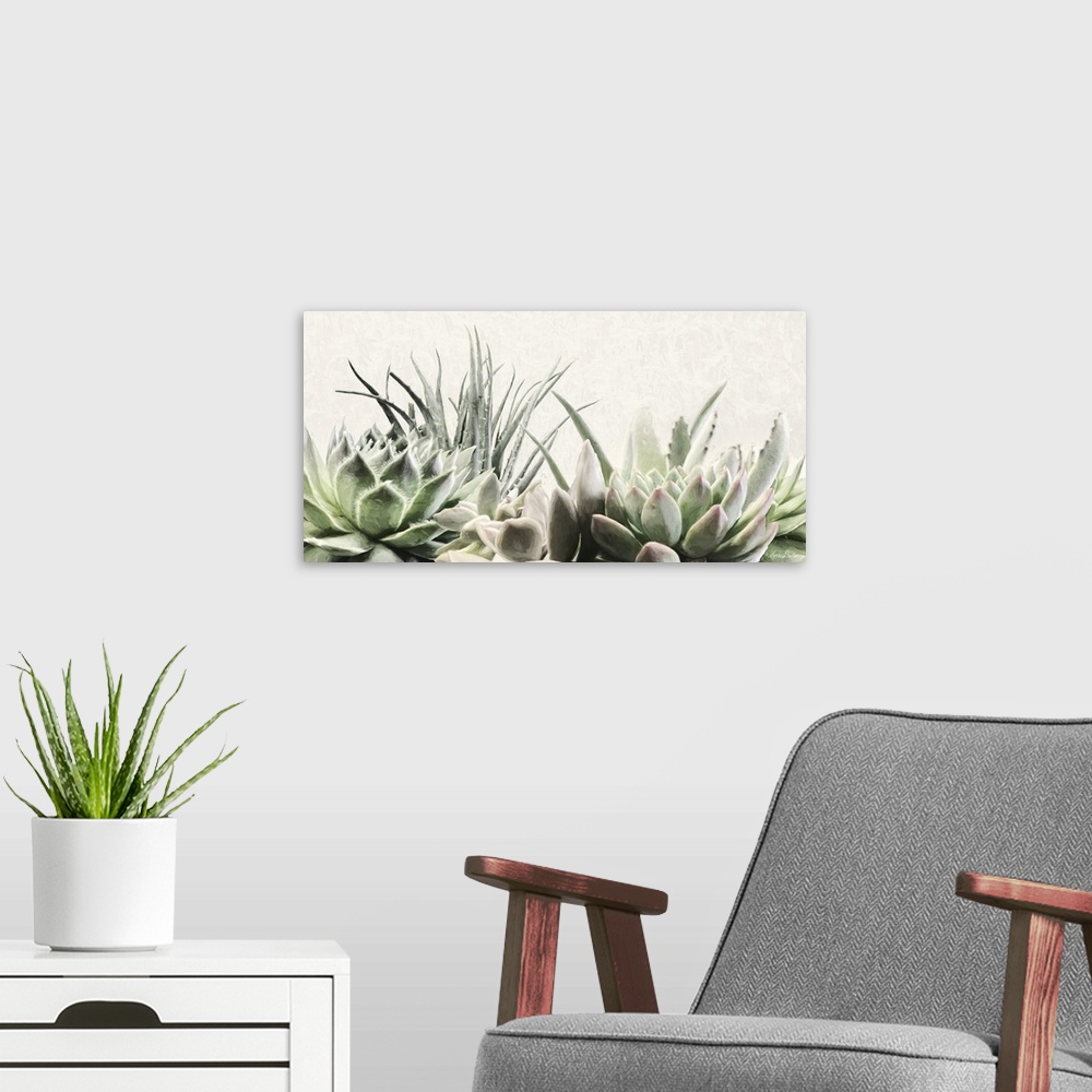 A modern room featuring Soft Succulents II