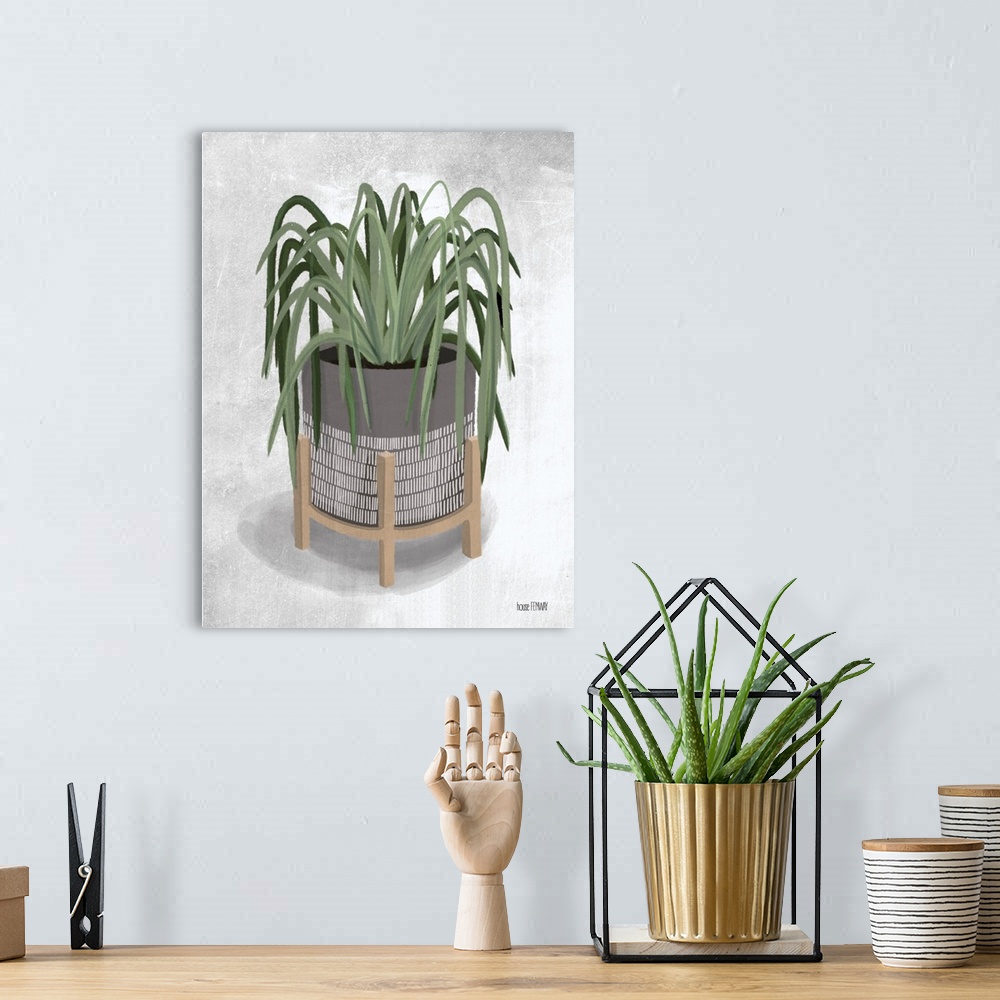 A bohemian room featuring Spider Plant