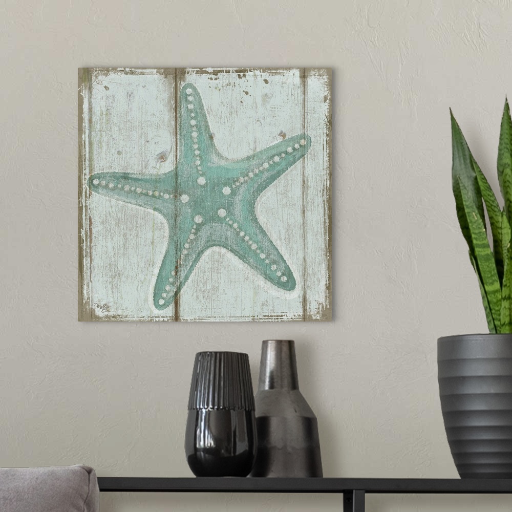 A modern room featuring Starfish