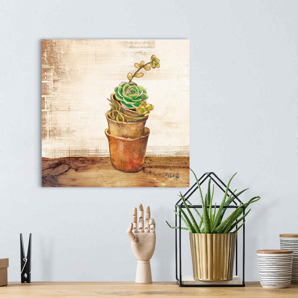 A bohemian room featuring Succulents in a Pot