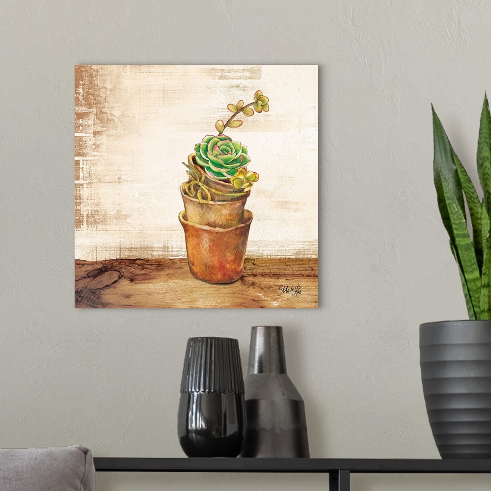 A modern room featuring Succulents in a Pot