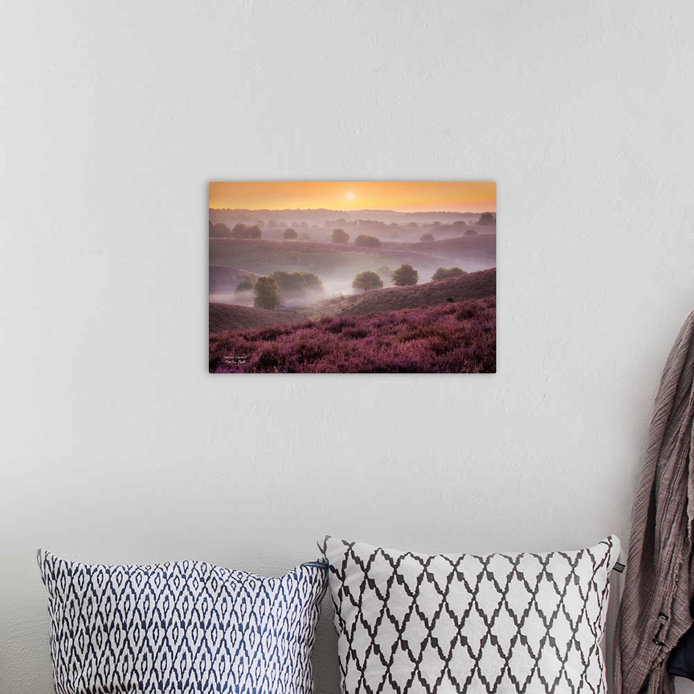 A bohemian room featuring The sun at dawn over misty rolling hills with lavender flowers and bushes.