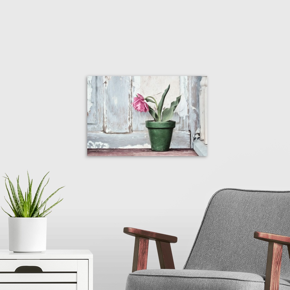 A modern room featuring Take a Bow Tulip